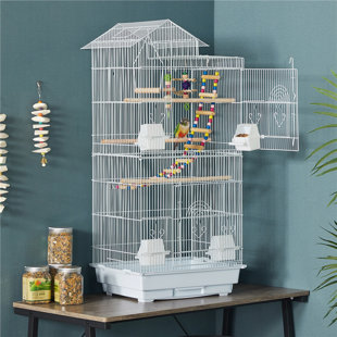 Bird best sale carrier petsmart